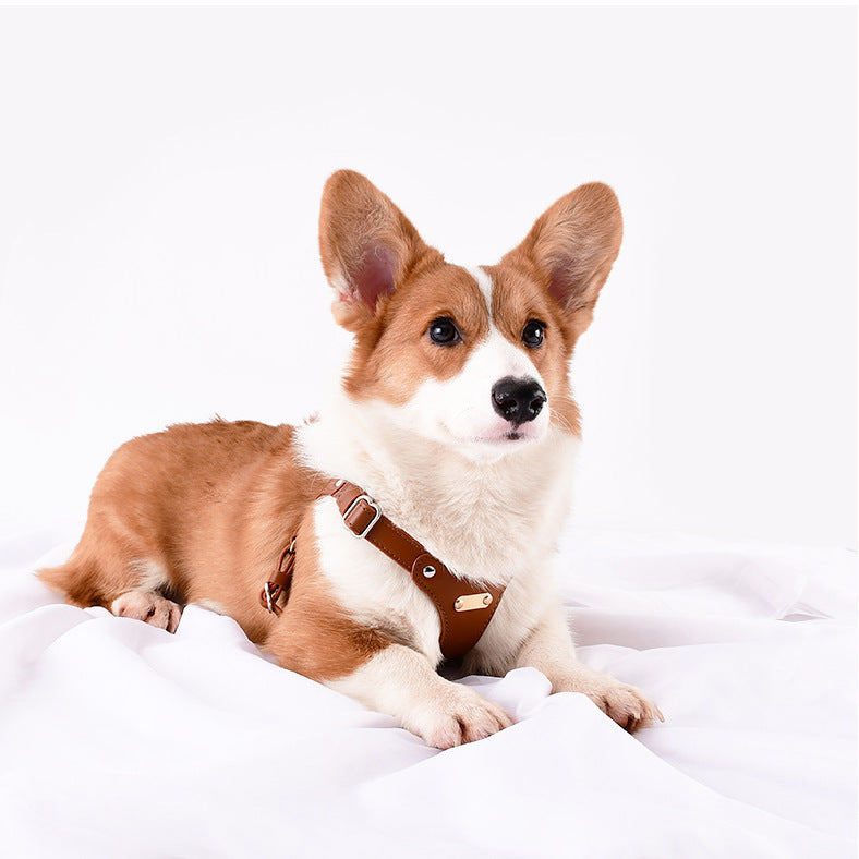 Leather Pet Dog Chest And Back