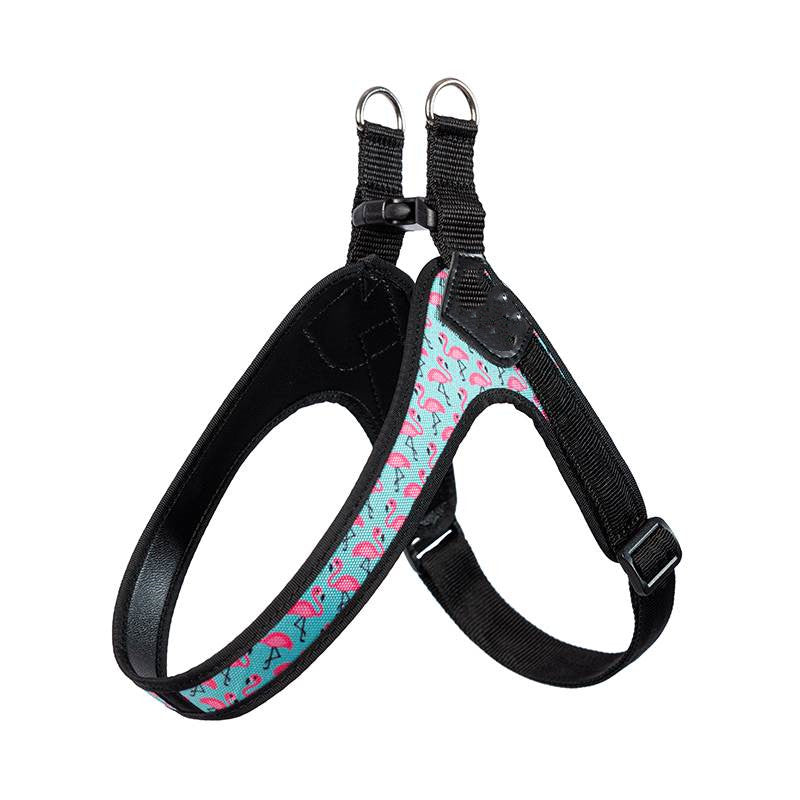 Puppy Harness Leash Vest Style