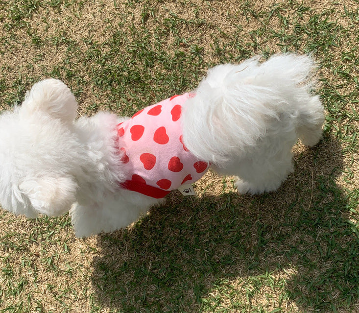 Summer Breathable Cat Sling Puppy Dog Vest