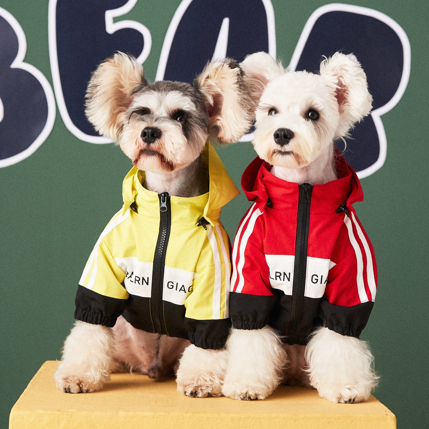 Dog Clothes Waterproof Raincoat Jacket