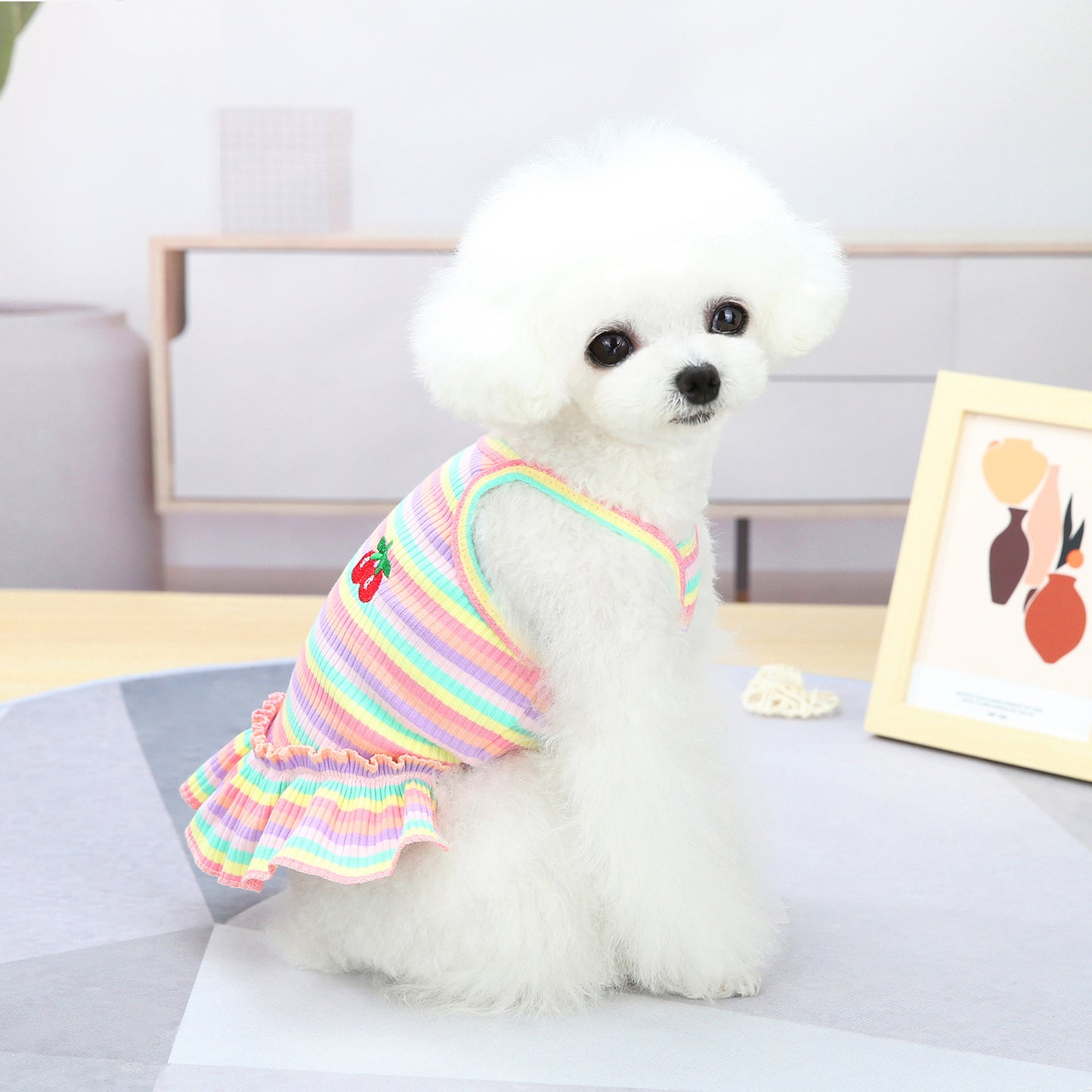 Pet Clothes Dog Color Stripes Skirt Vest