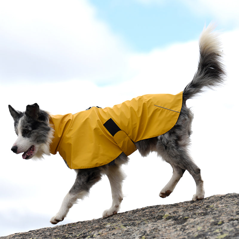 Pet Shell Jacket Dog Waterproof Windproof Raincoat