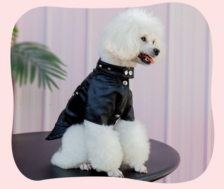 Pet Leather Coat Dog Fashion Brand Clothes Korean Style