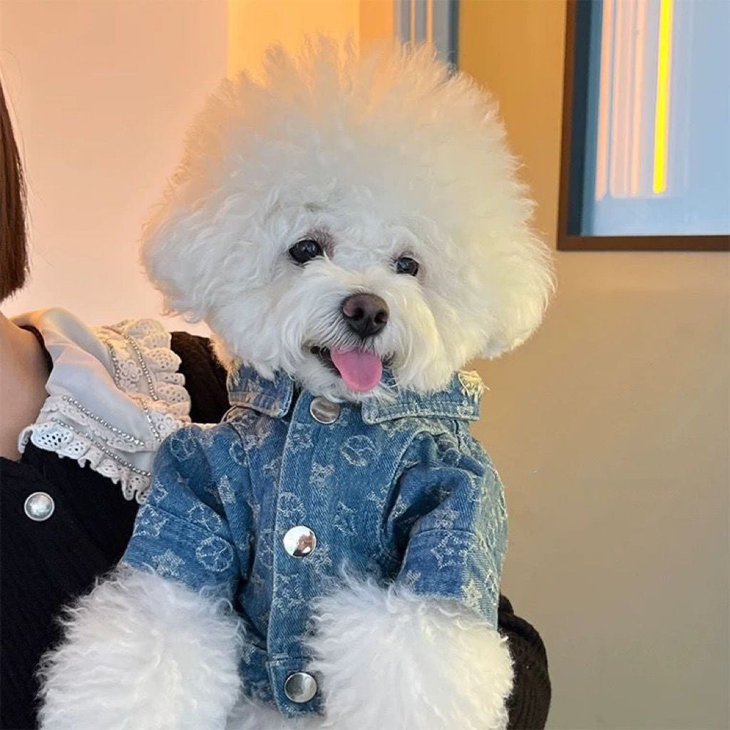 Fashion Dog Denim Jacket Trendy Clothing