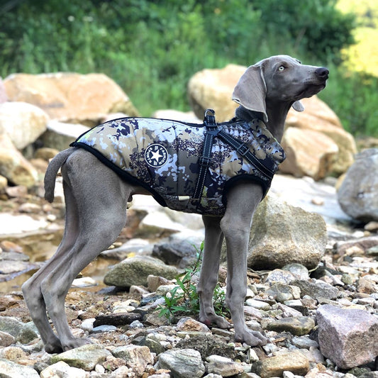 Winter Warm Camouflage Big Dog Shell Jacket