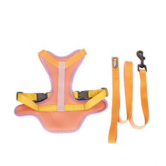 Colourful Harness & Leash Set