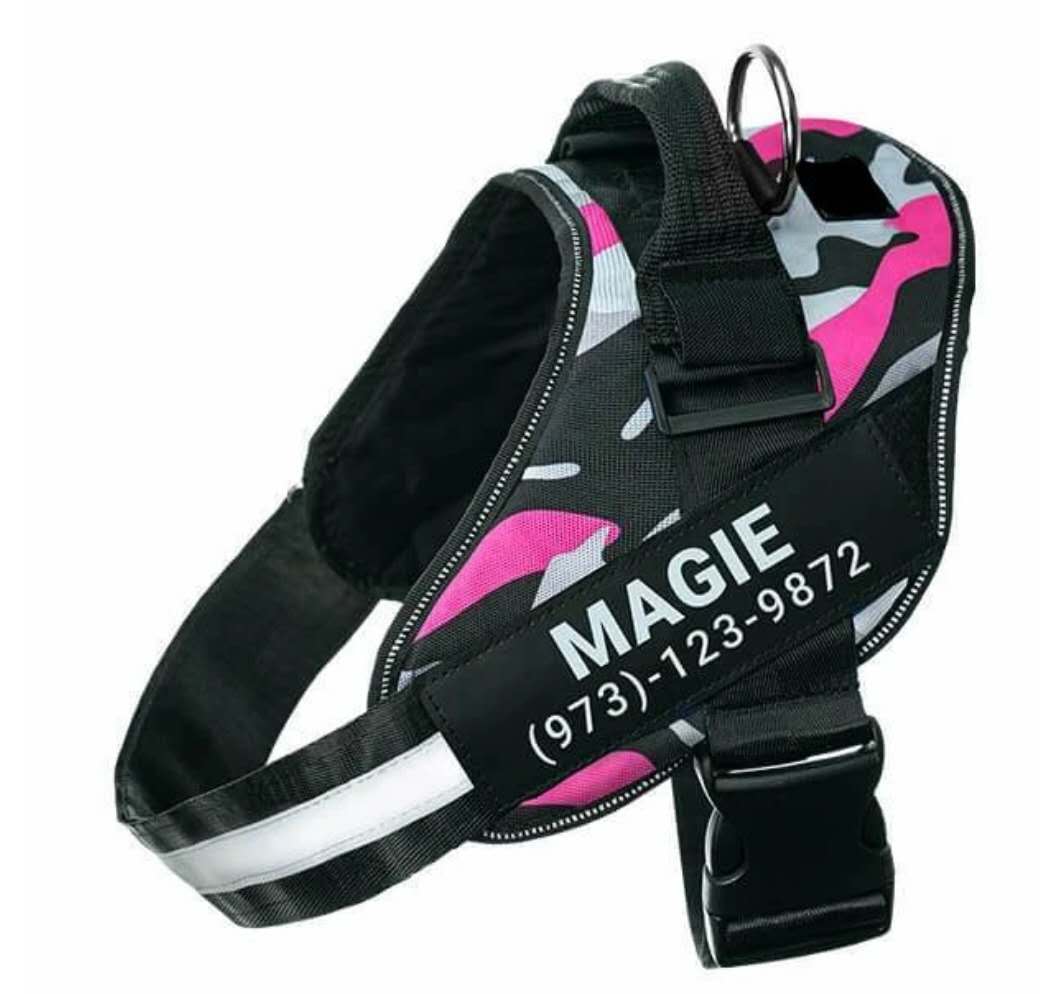 Personalized Custom Reflective Breathable Dog Harness NO PULL