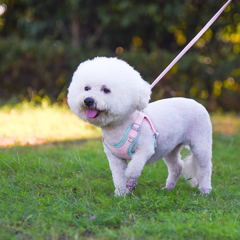 Adjustable Dog Harness And Comfortable Pet Leash