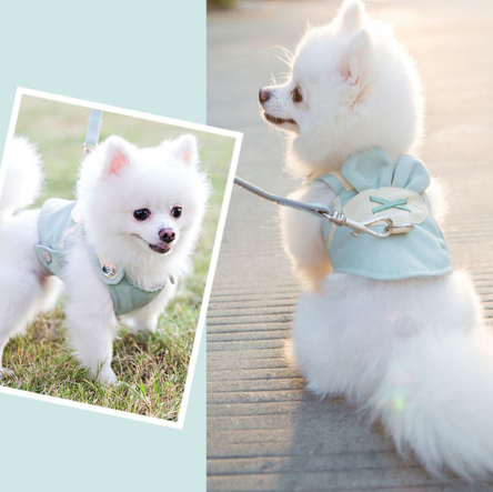 Cute Pet Dog Harness Leash Set