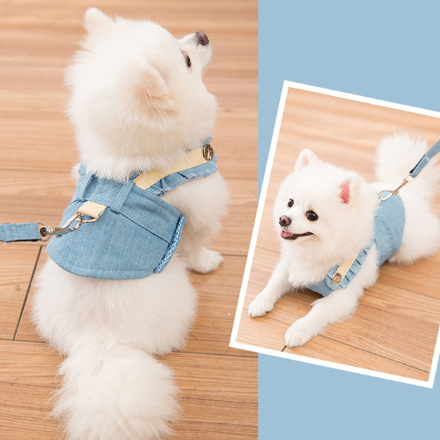 Cute Pet Dog Harness Leash Set