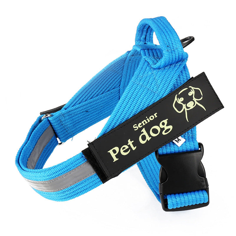 Dog leash and chest harness