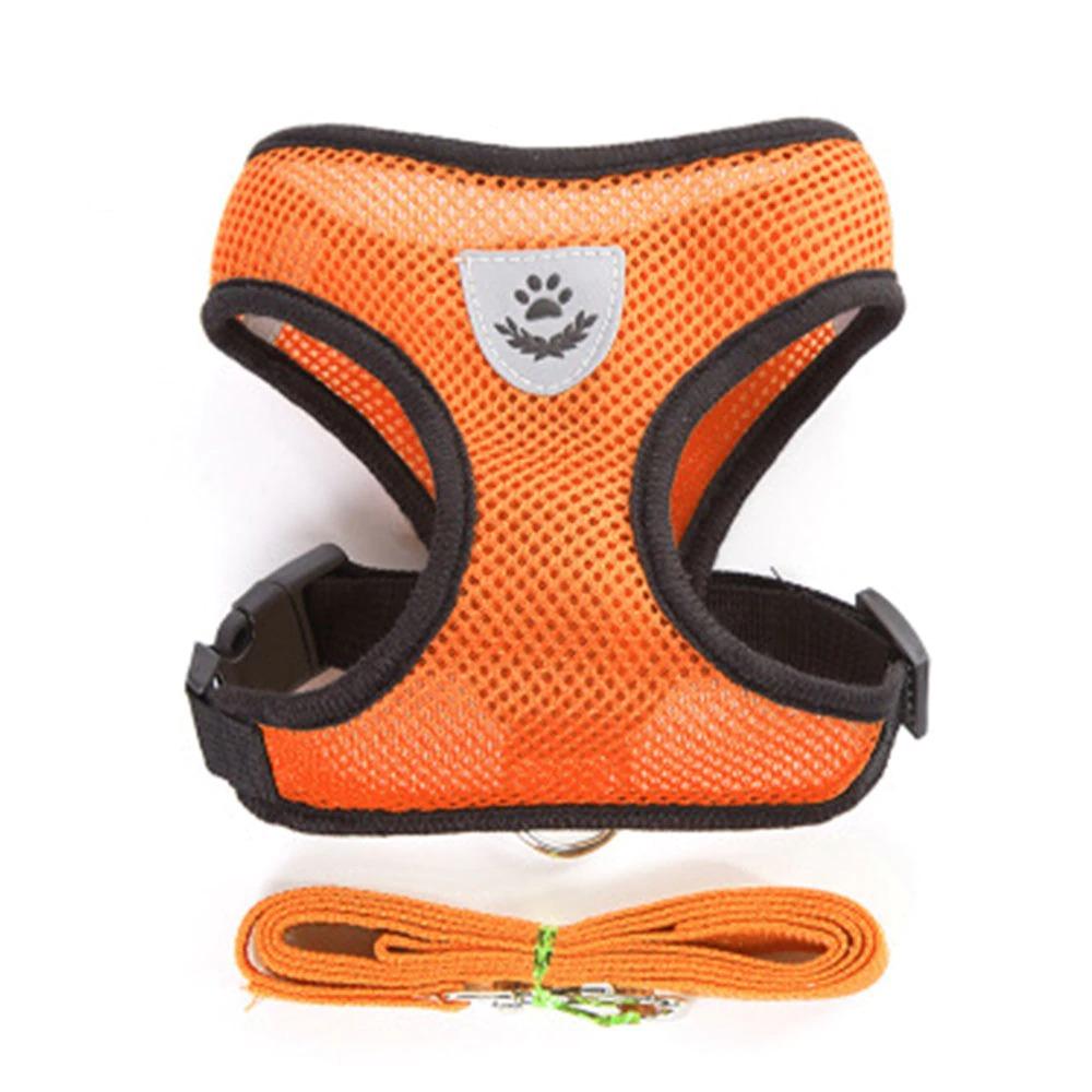 Dog's chest harness traction rope