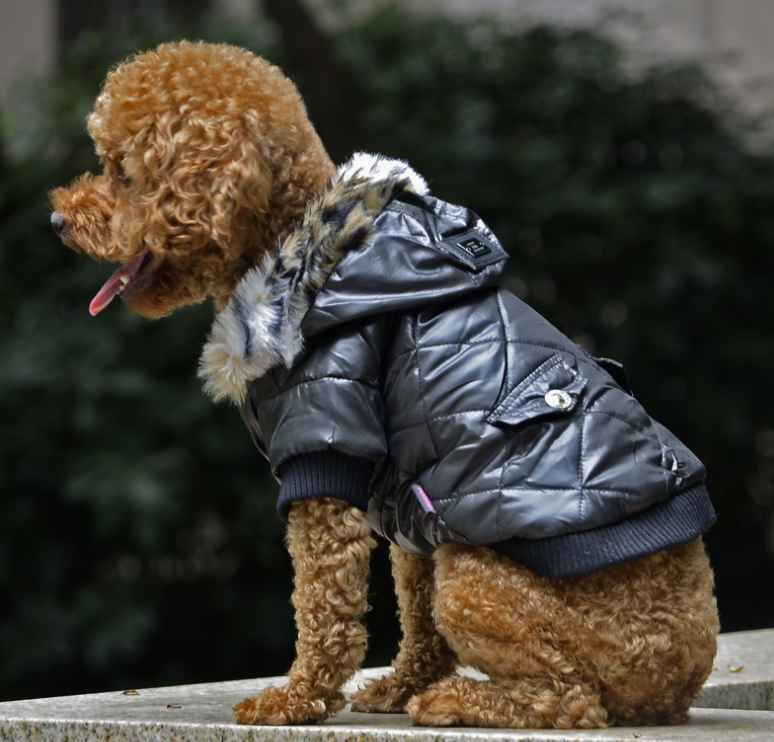 Pet clothes dog Jumpsuit autumn and winter coat pet dog clothing Dog Jacket