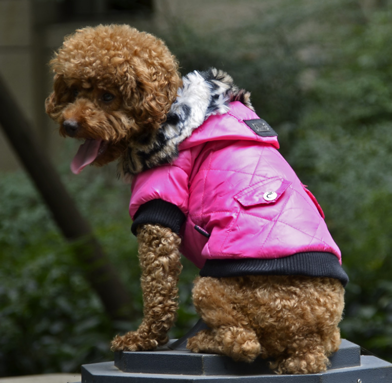 Pet clothes dog Jumpsuit autumn and winter coat pet dog clothing Dog Jacket