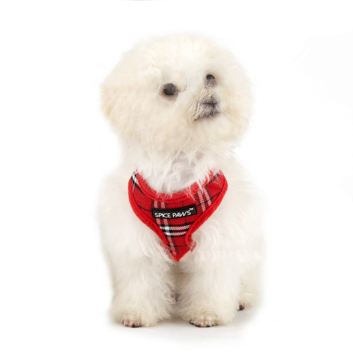 Adjustable harness vest-style dog outing chest back