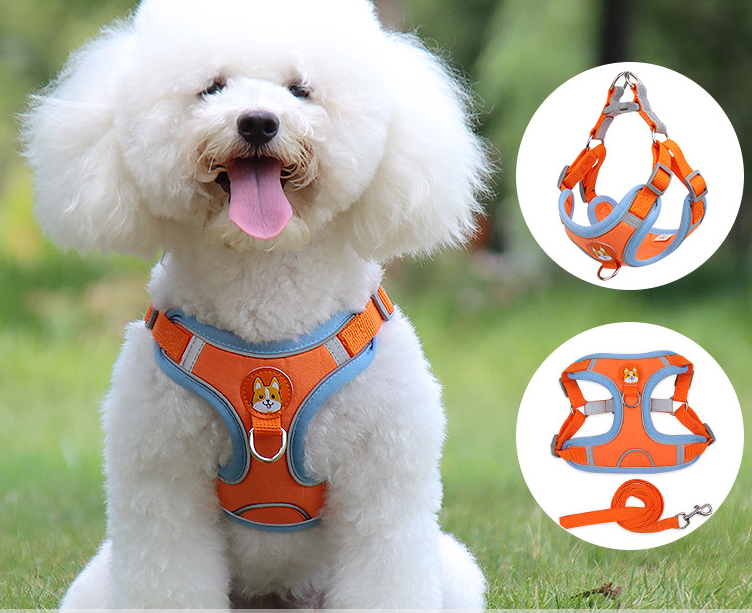 Vest Type Dog Harness Small Leash Reflective