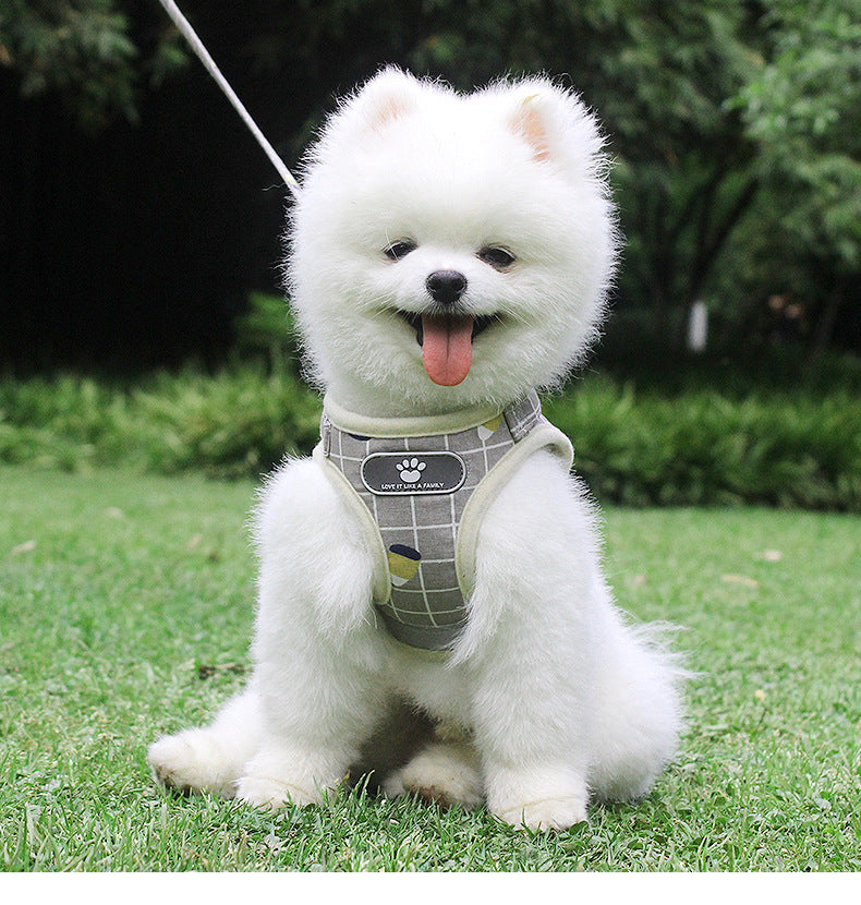 Breathable Mesh Small Dog Harness and Leash