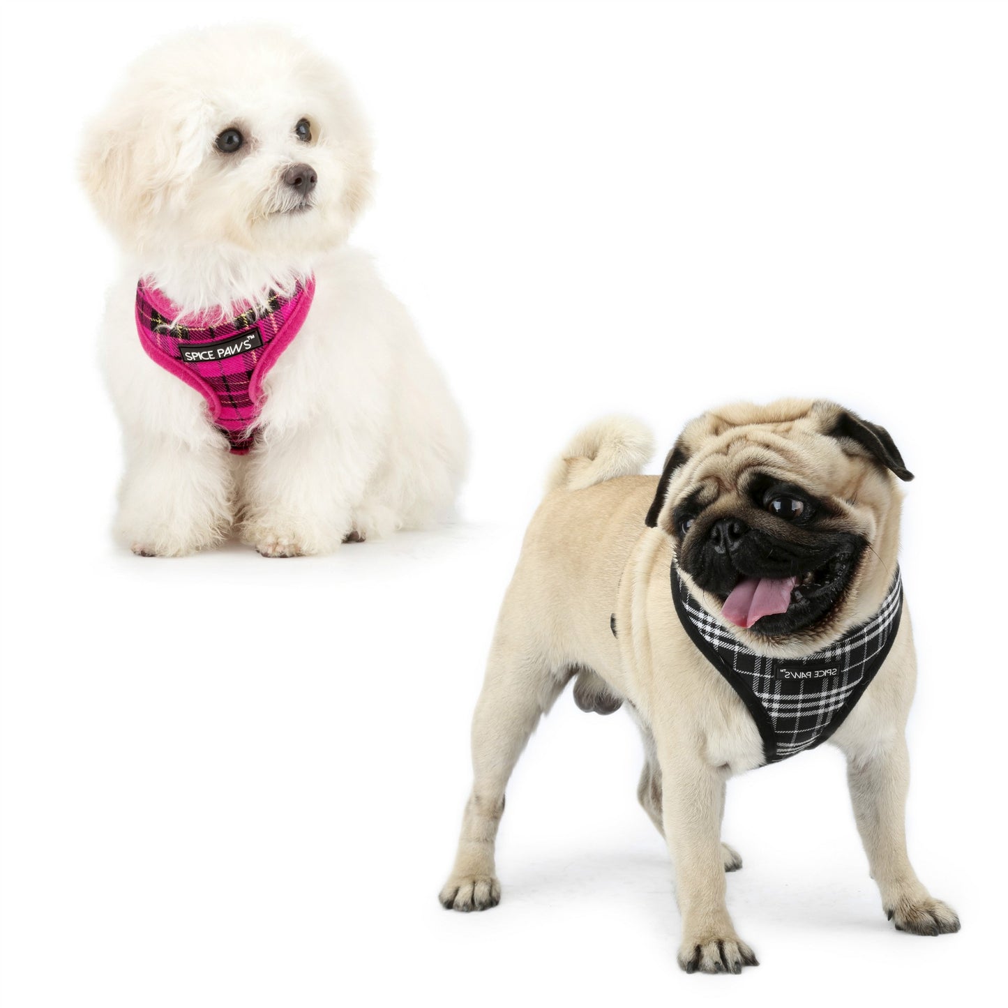 Adjustable harness vest-style dog outing chest back