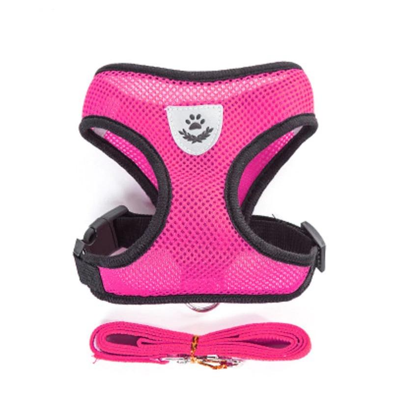 Dog's chest harness traction rope