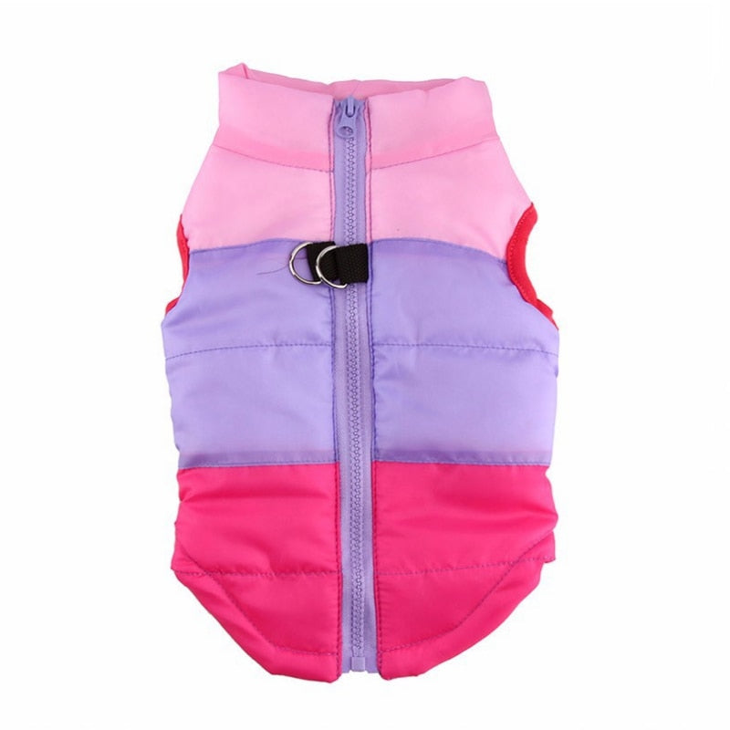 Winter Warm Pet Clothes For Small Dogs Windproof Dog Coat Jacket