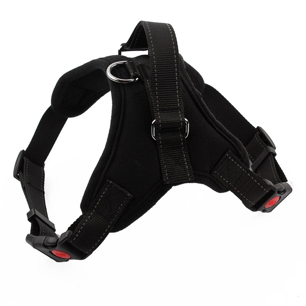 Dog and Cat Adjustable Harness with Leash Reflective and Breathable