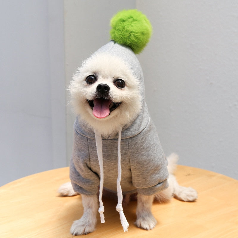 Dog Winter Warm Clothes Cute Plush Coat Hoodies Pet Costume Jacket