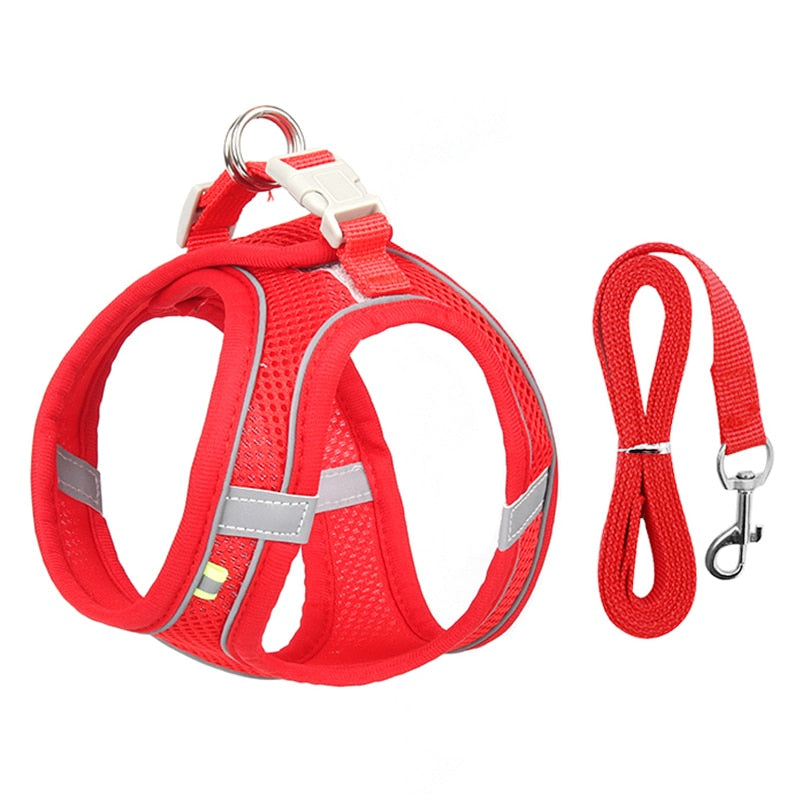 Dog Harness Leash Set for Small Dogs Adjustable Puppy Harness Vest Outdoor