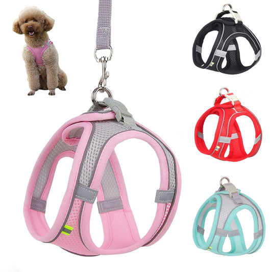 Dog Harness Leash Set for Small Dogs Adjustable Puppy Harness Vest Outdoor