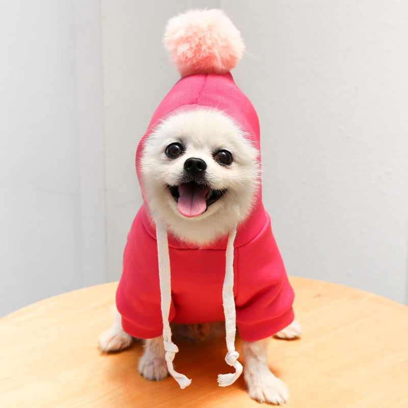 Dog Winter Warm Clothes Cute Plush Coat Hoodies Pet Costume Jacket