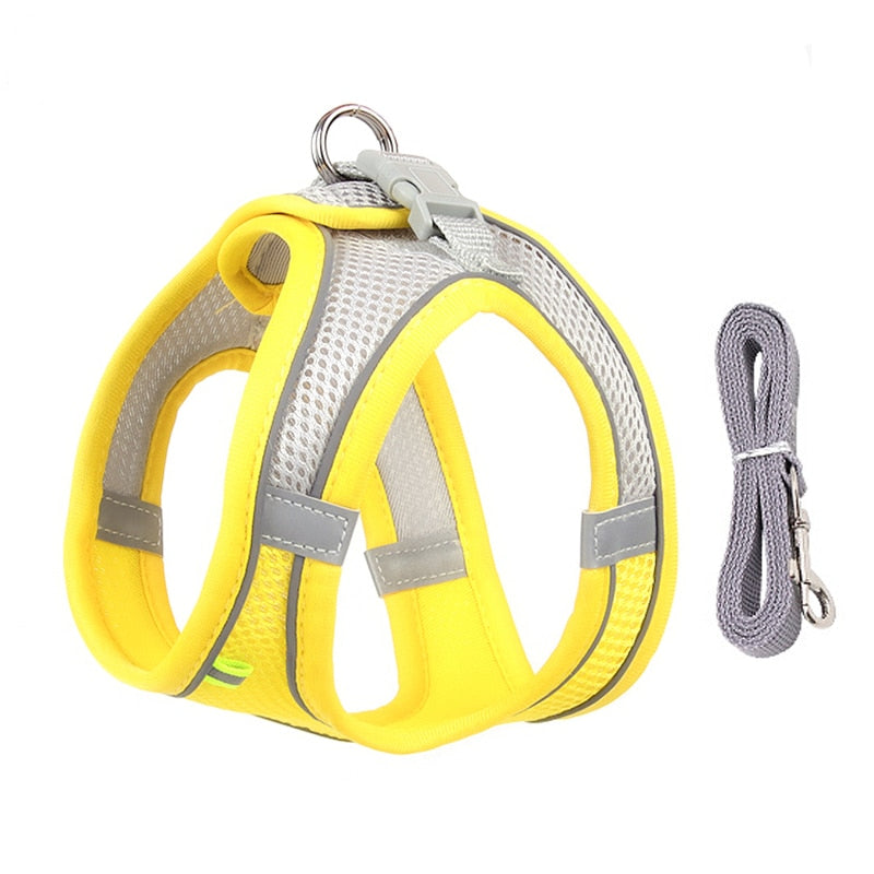 Dog Harness Leash Set for Small Dogs Adjustable Puppy Harness Vest Outdoor