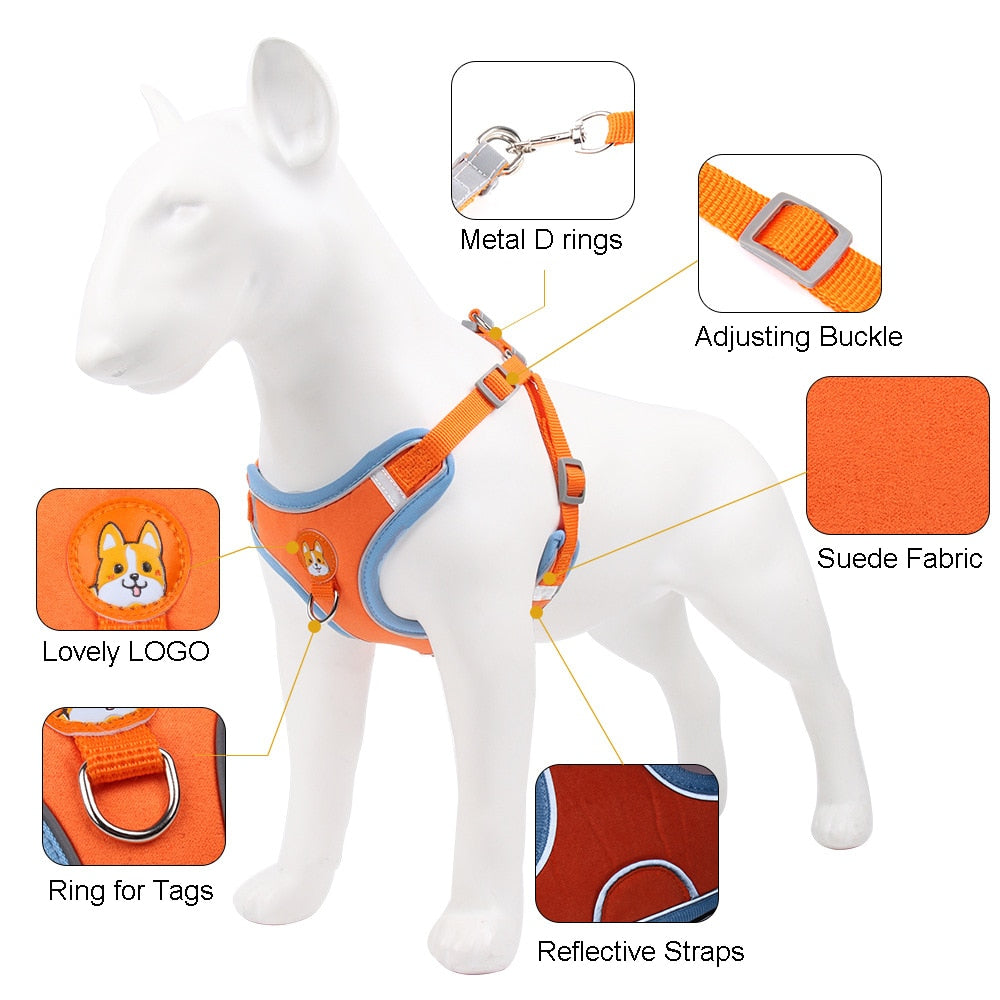 No Pull Pet Dog Harness and Leash Set Adjustable Puppy Cat Harness Vest