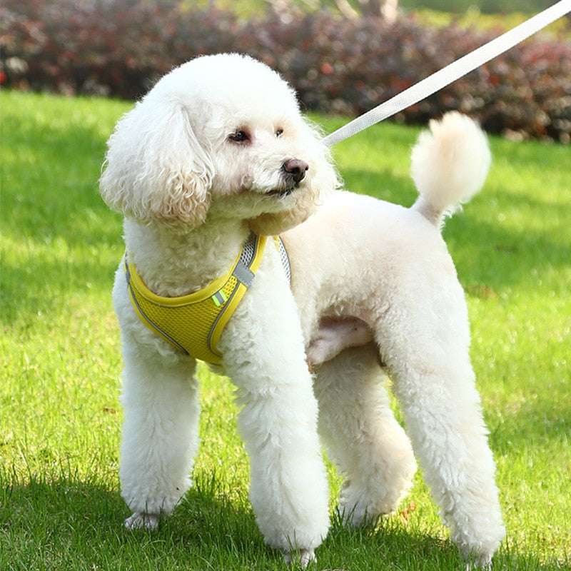 Dog Harness Vest with Leash For Small Dogs Adjustable Pet Chest Strap Harness