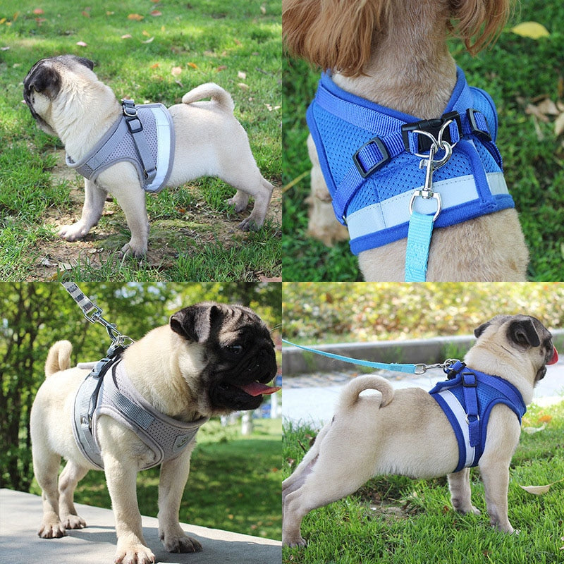 Reflective Safety Pet Dog Harness and Leash Set Harnesses Vest Chest Strap