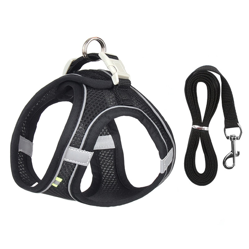 Dog Harness Leash Set for Small Dogs Adjustable Puppy Harness Vest Outdoor