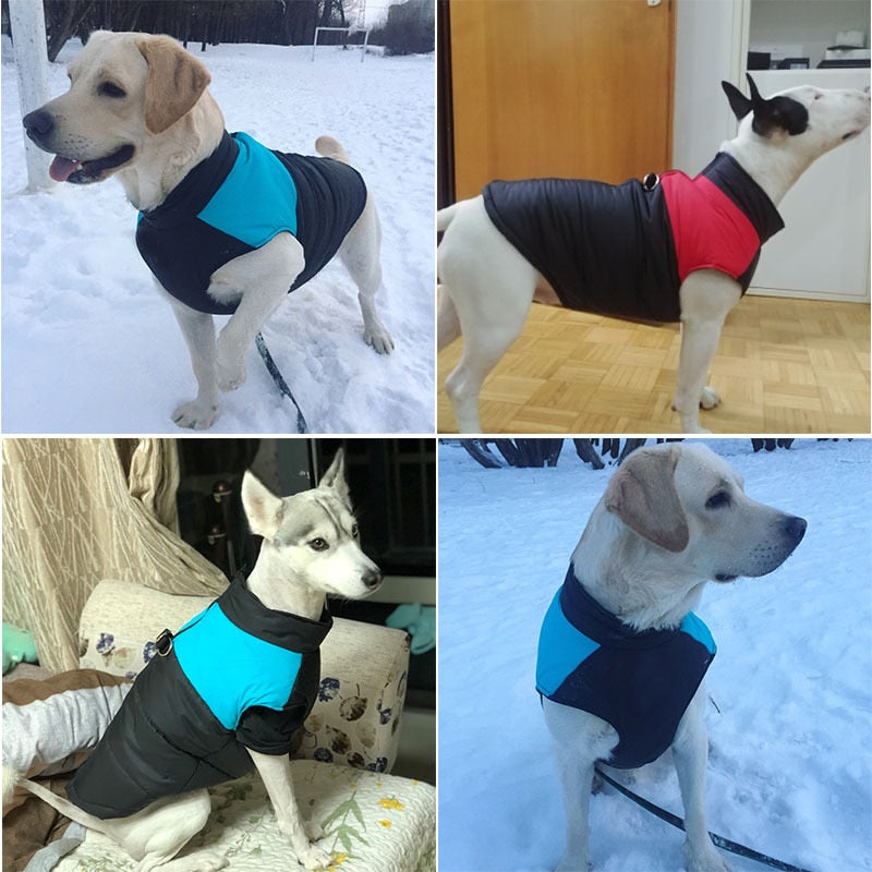 Padded Winter Warm Dog Clothes Waterproof Pet Vest Zipper Jacket