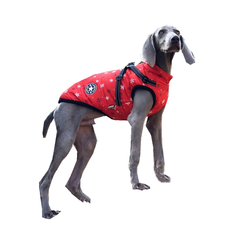 Large Pet Dog Jacket With Harness Winter Warm Dog Clothes