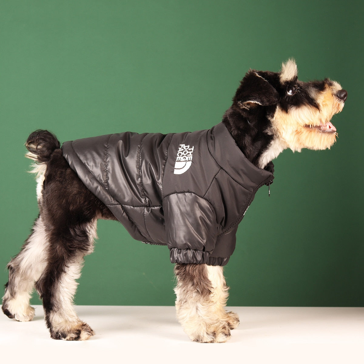 Large Winter Pet Dog Clothes French Puppy Warm Windproof Jacket