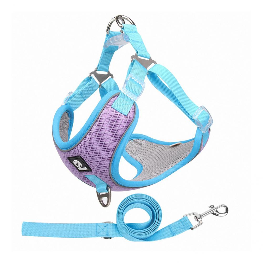 Breathable Mesh Dog Harness For Small And Medium Dogs