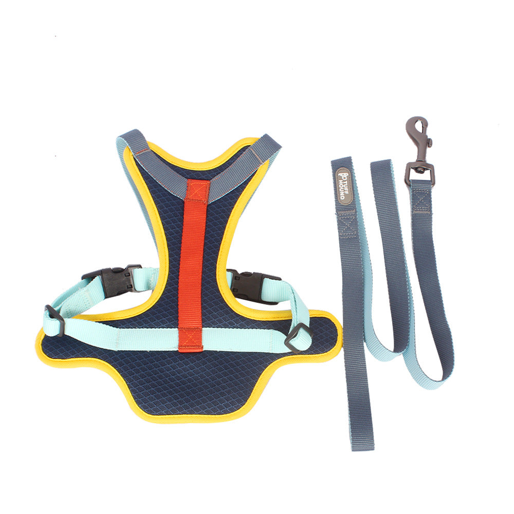 Colourful Harness & Leash Set