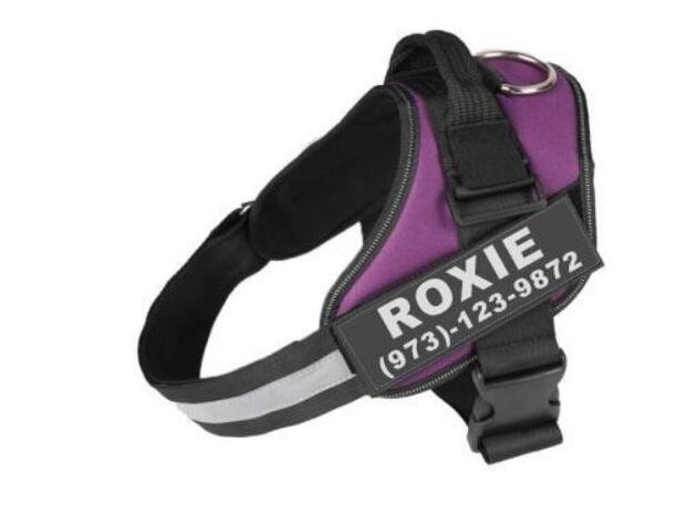 Personalized Dog Harness No Pull Reflective Breathable Adjustable