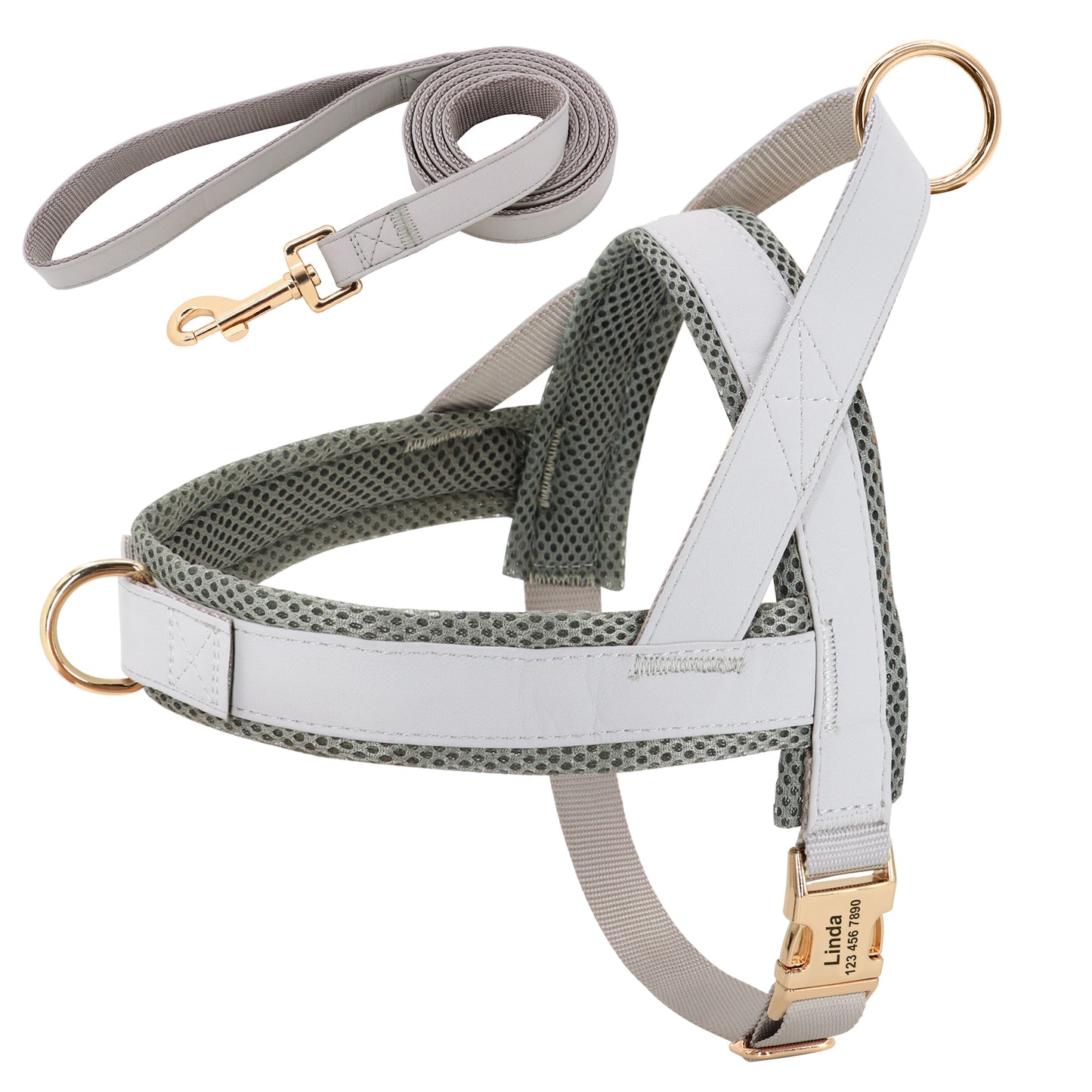 Personalized Dog Harness Leash Set