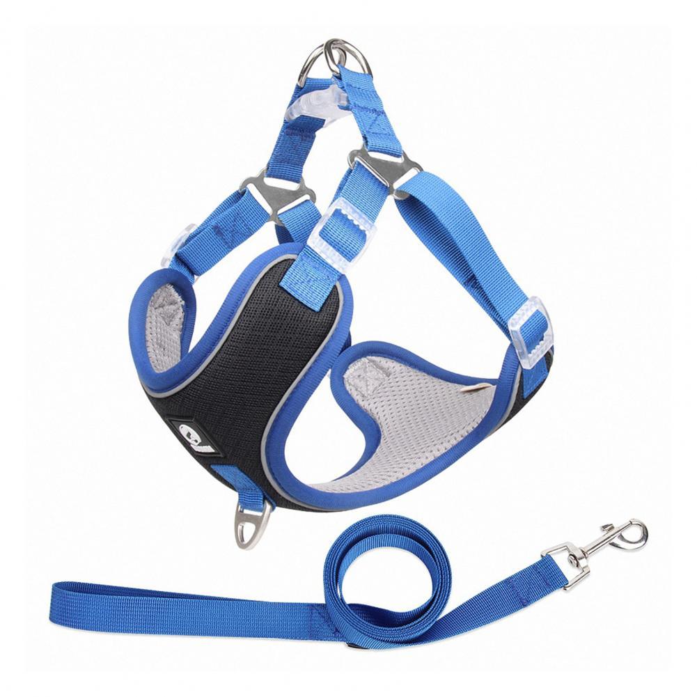 Breathable Mesh Dog Harness For Small And Medium Dogs