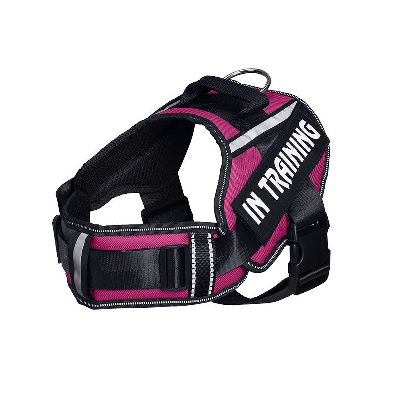 Reflective Dog Leash For Chest Harness Customization